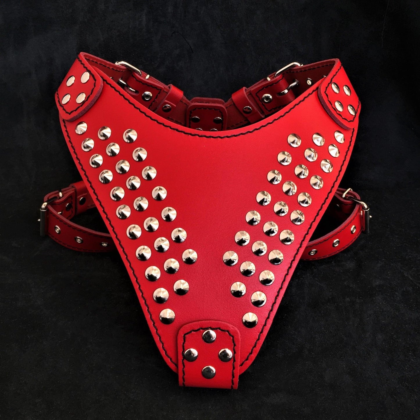 Bestia "Star" Dog Harness | Handcrafted European Leather | Premium Control - A Horizon Dawn