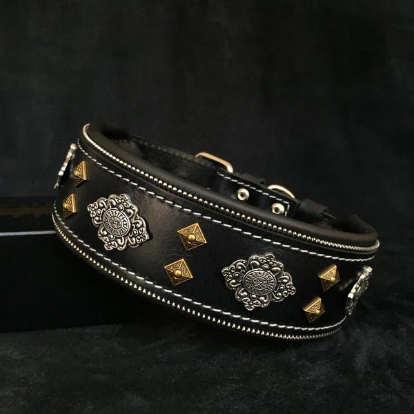 5 Signs Your Dog Needs a New Collar - A Horizon Dawn