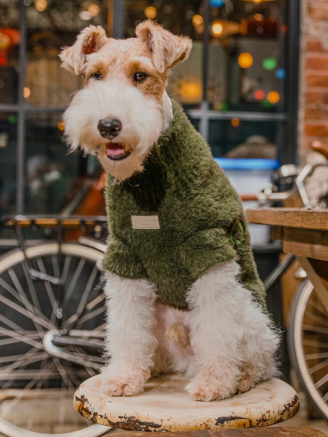 Best Winter Dog Accessories to Keep Your Pup Warm & Stylish - A Horizon Dawn