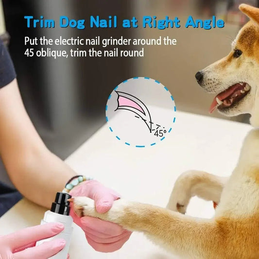 How to Build a Daily Grooming Routine Your Dog Will Love - A Horizon Dawn