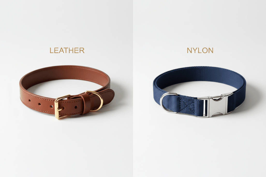 Leather vs. Nylon Dog Collars: The Real Difference - A Horizon Dawn