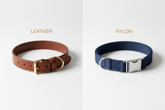 Leather vs. Nylon Dog Collars: The Real Difference - A Horizon Dawn