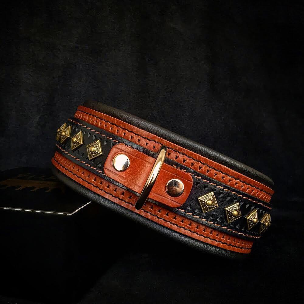 Bestia Balteus Brown Leather Dog Collar | Studded | M–XXL