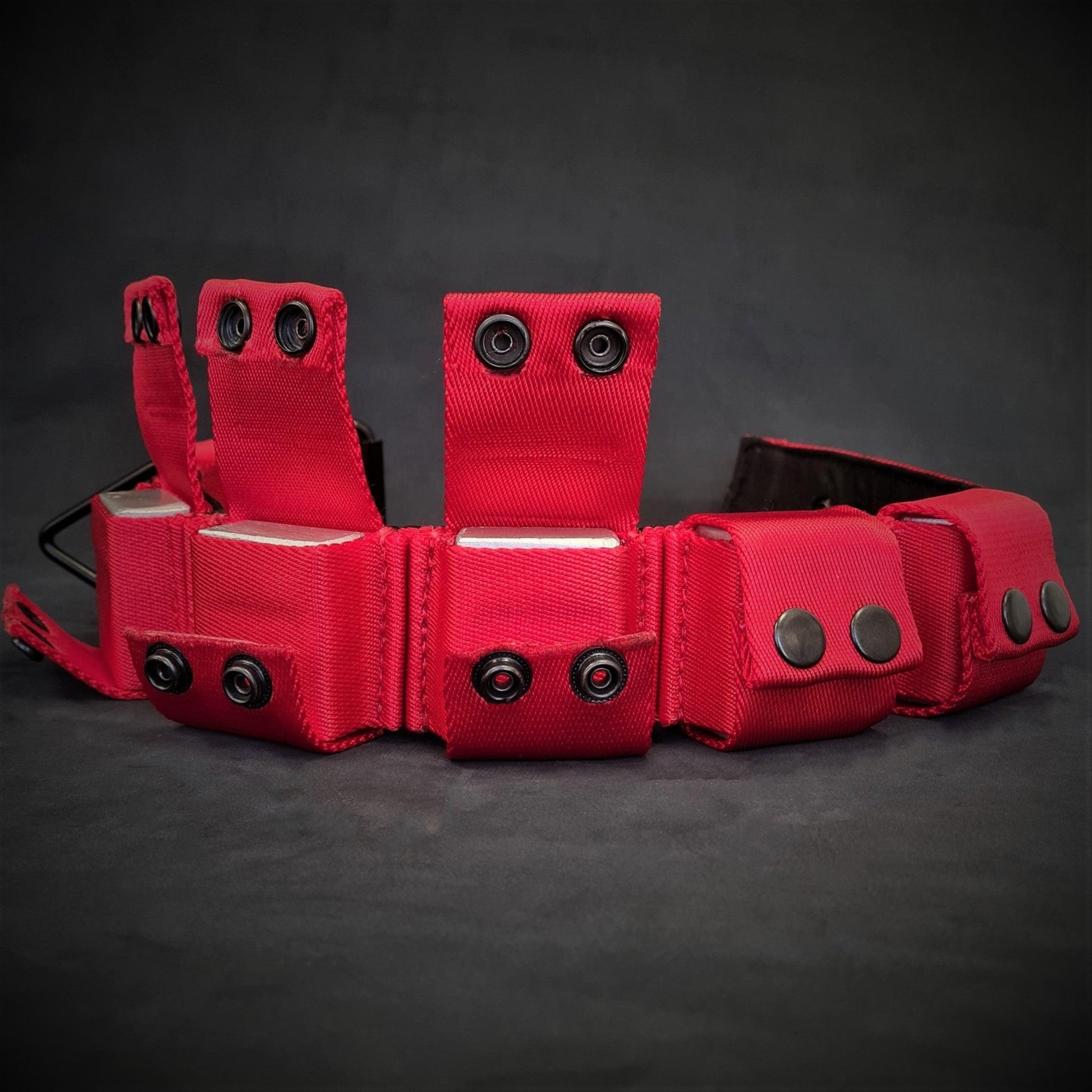 Bestia Weighted Training Collar | Removable Weights | Red | Large Breeds - A Horizon Dawn