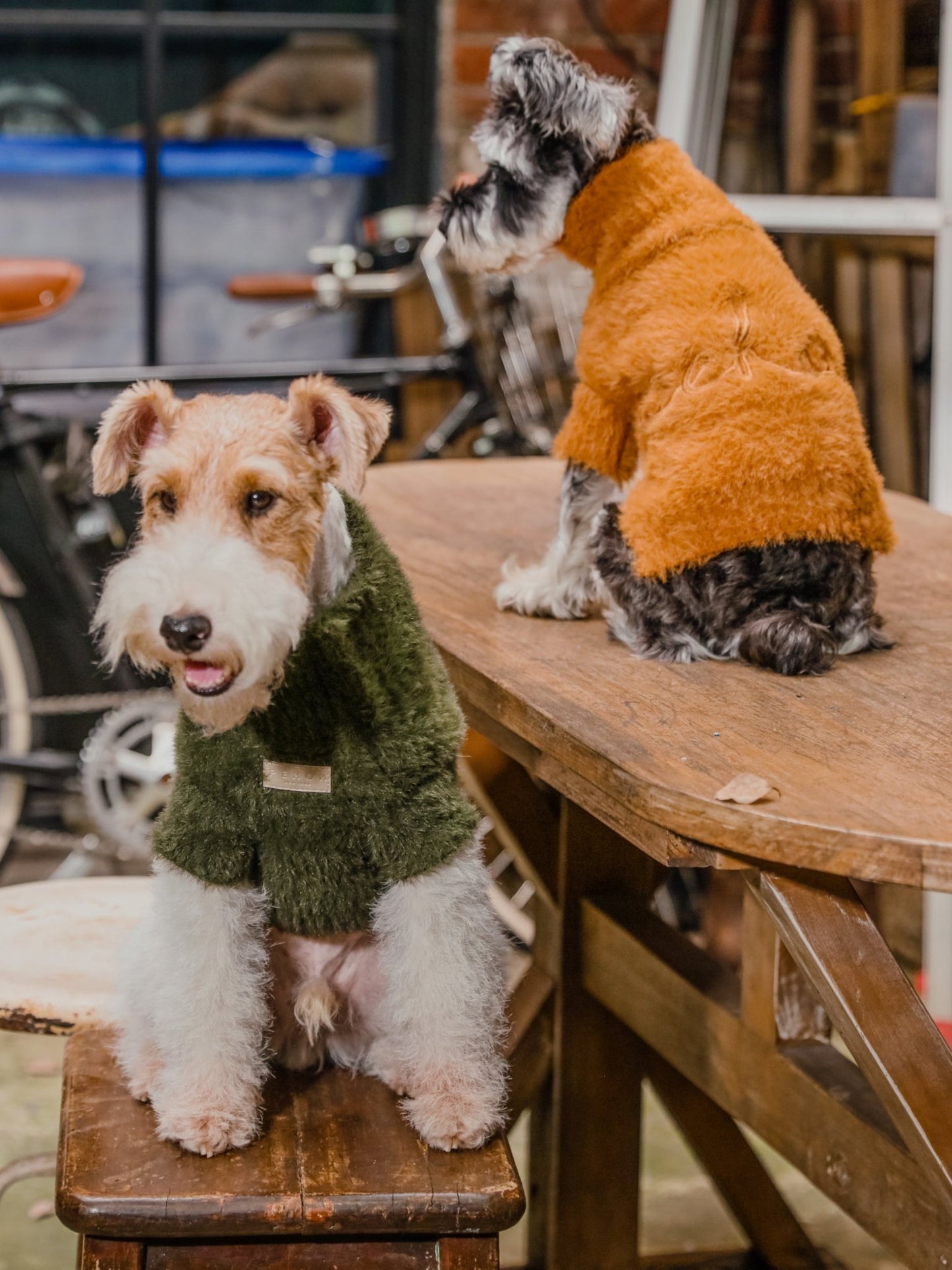 Eskimo Fuzzy Dog Sweater - Orange | Ultra - Soft Winter Style - A Horizon Dawn
