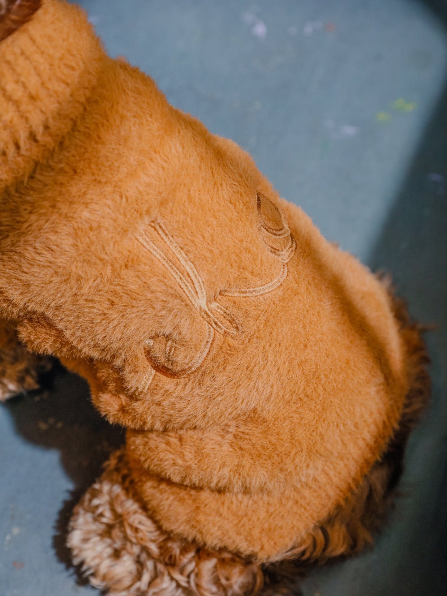 Eskimo Fuzzy Dog Sweater - Orange | Ultra - Soft Winter Style - A Horizon Dawn