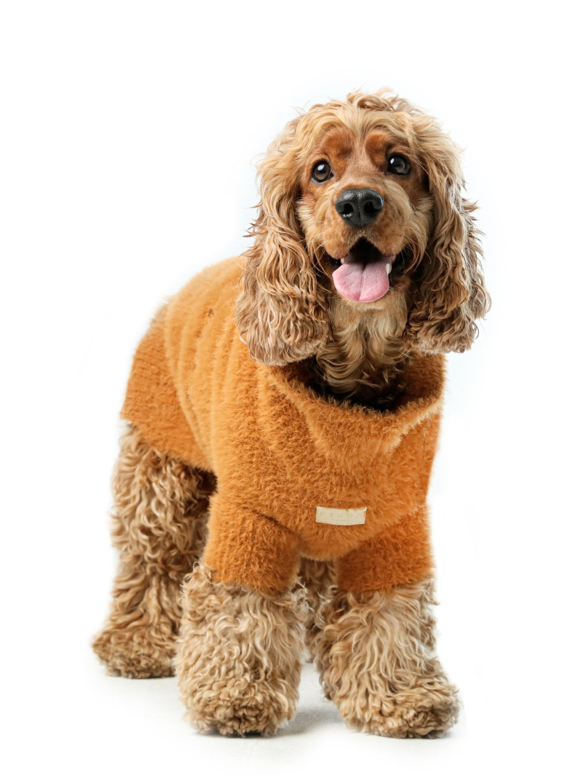 Knit Pet Sweater Vest - Green | Cozy Style for Small Dogs - A Horizon Dawn