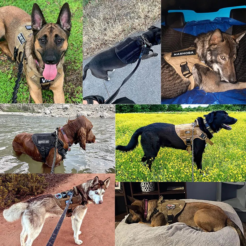 Military Large Dog Harness Collar Leash Bags Patches Set Pet Malinois Training Vests Tactical Dogs Harnesses Accessories - A Horizon Dawn