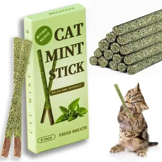 Natural Silvervine Cat Chew Sticks - 6 Pack Dental & Play Toy - A Horizon Dawn