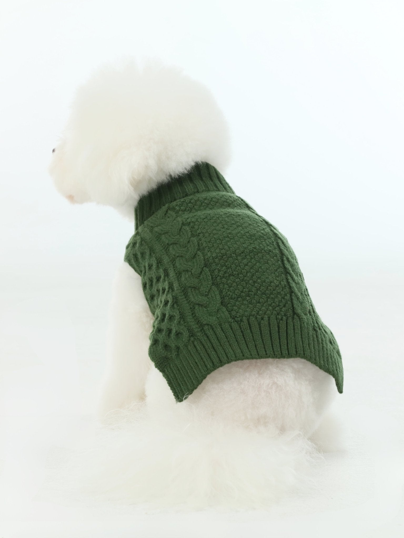 Pet Sweater Vest - Green - A Horizon Dawn