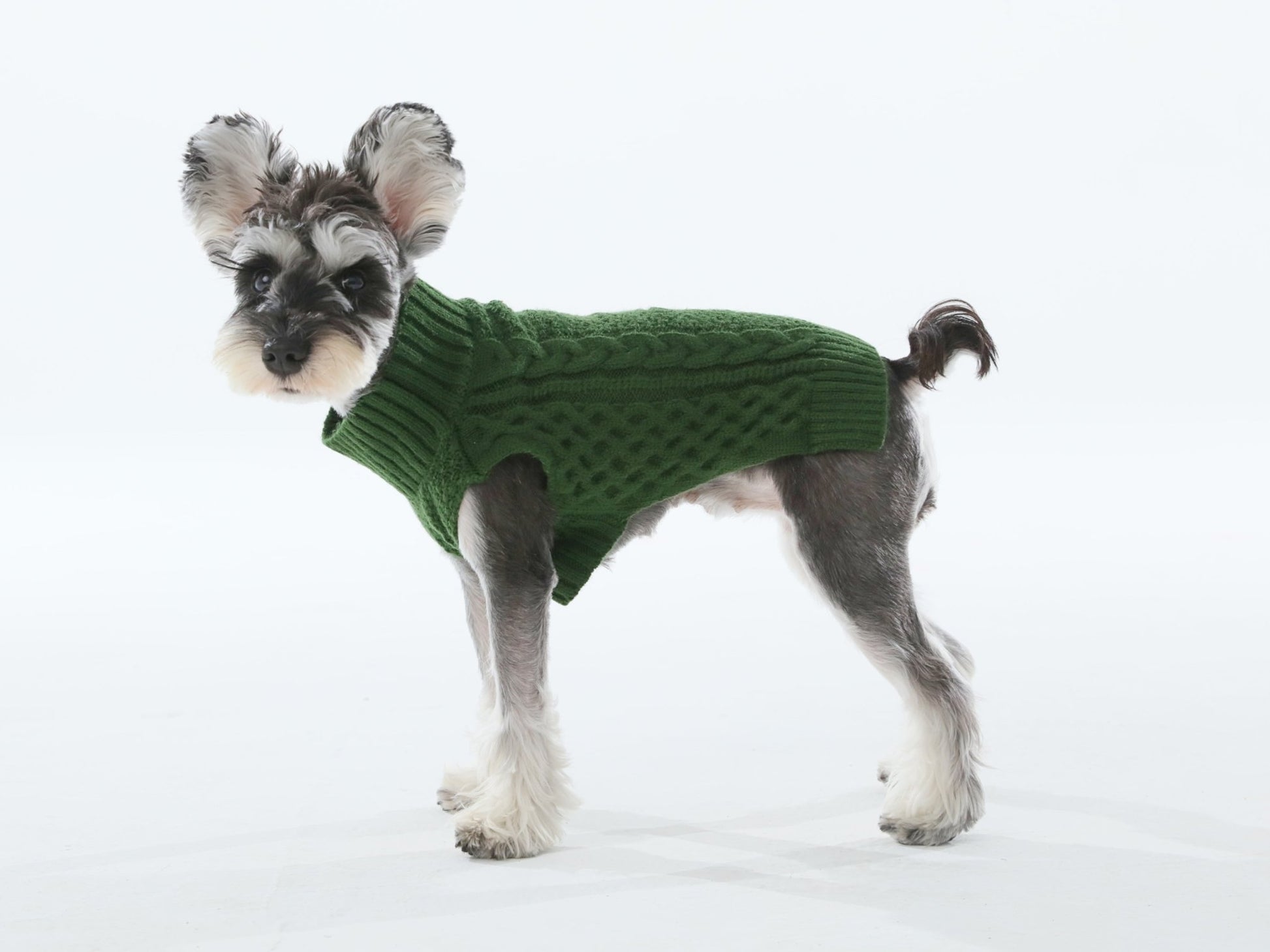 Pet Sweater Vest - Green - A Horizon Dawn