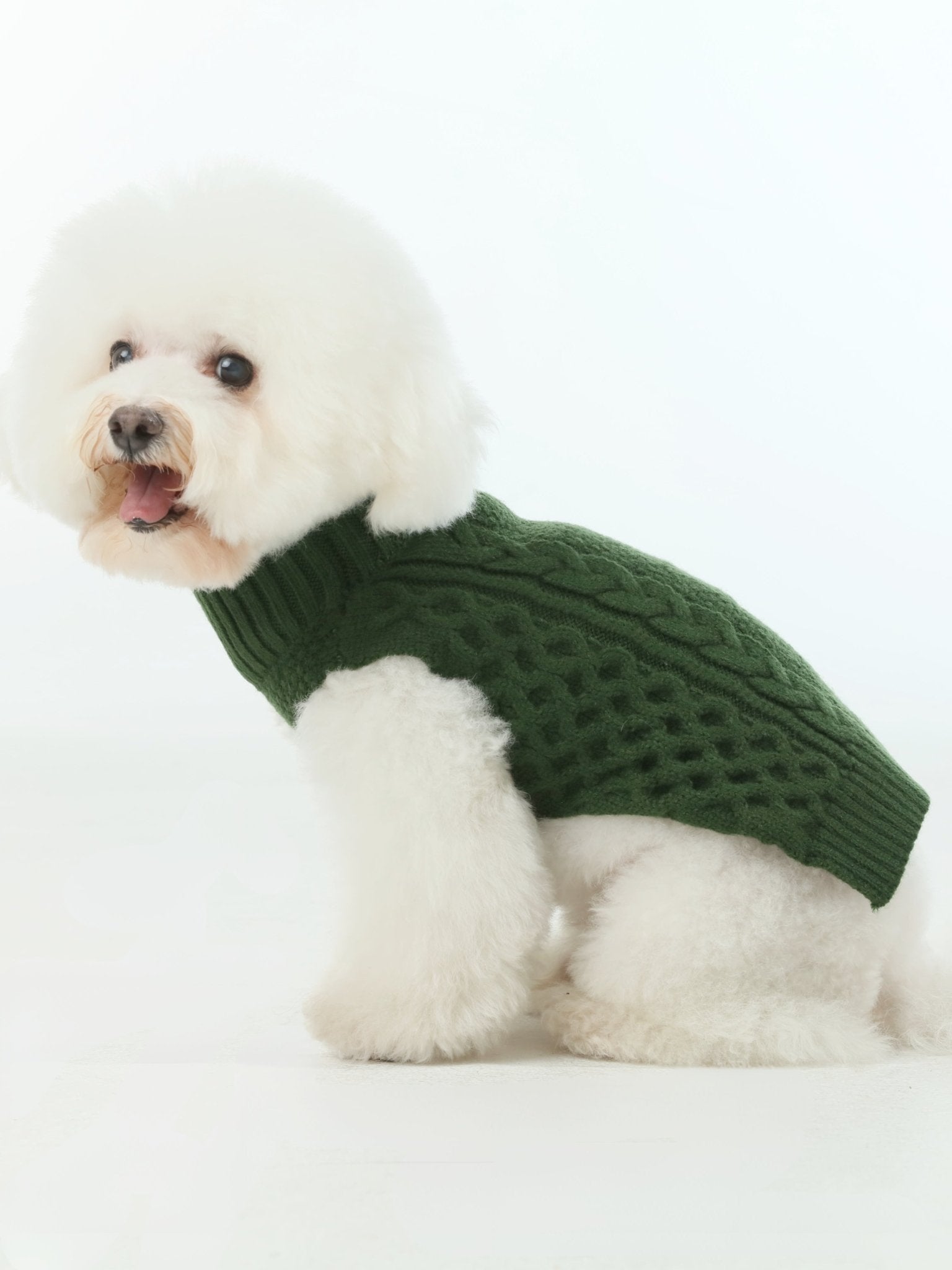 Pet Sweater Vest - Green - A Horizon Dawn