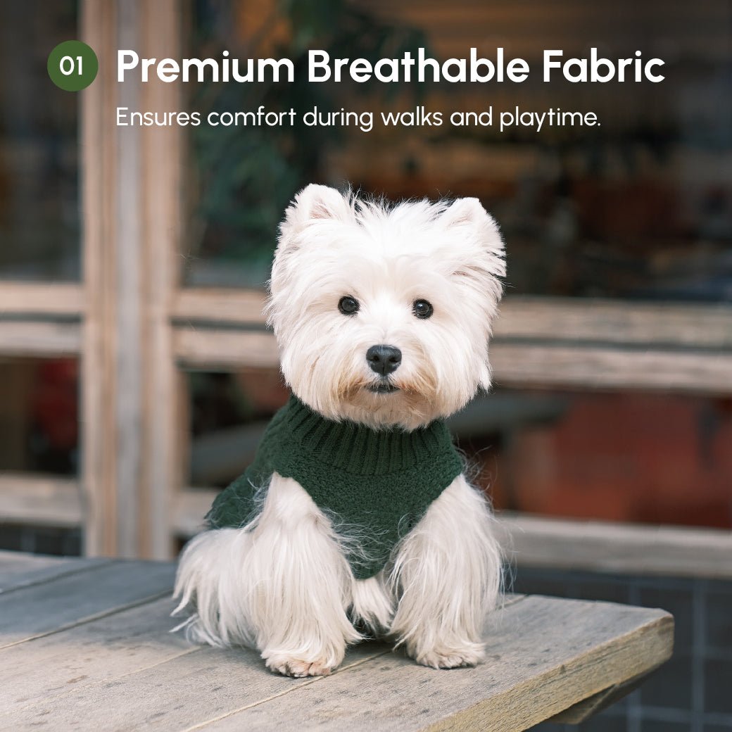 Pet Sweater Vest - Green - A Horizon Dawn