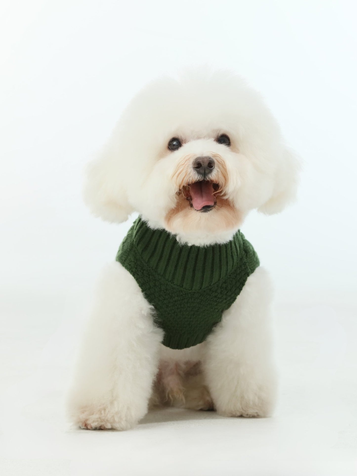 Pet Sweater Vest - Green - A Horizon Dawn
