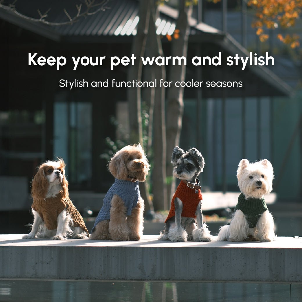 Pet Sweater Vest - Green - A Horizon Dawn