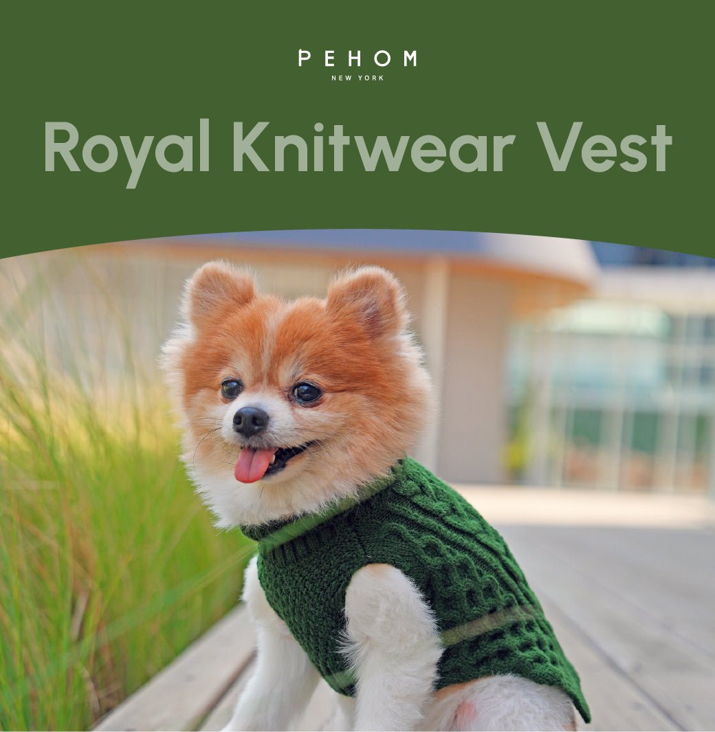 Pet Sweater Vest - Green - A Horizon Dawn