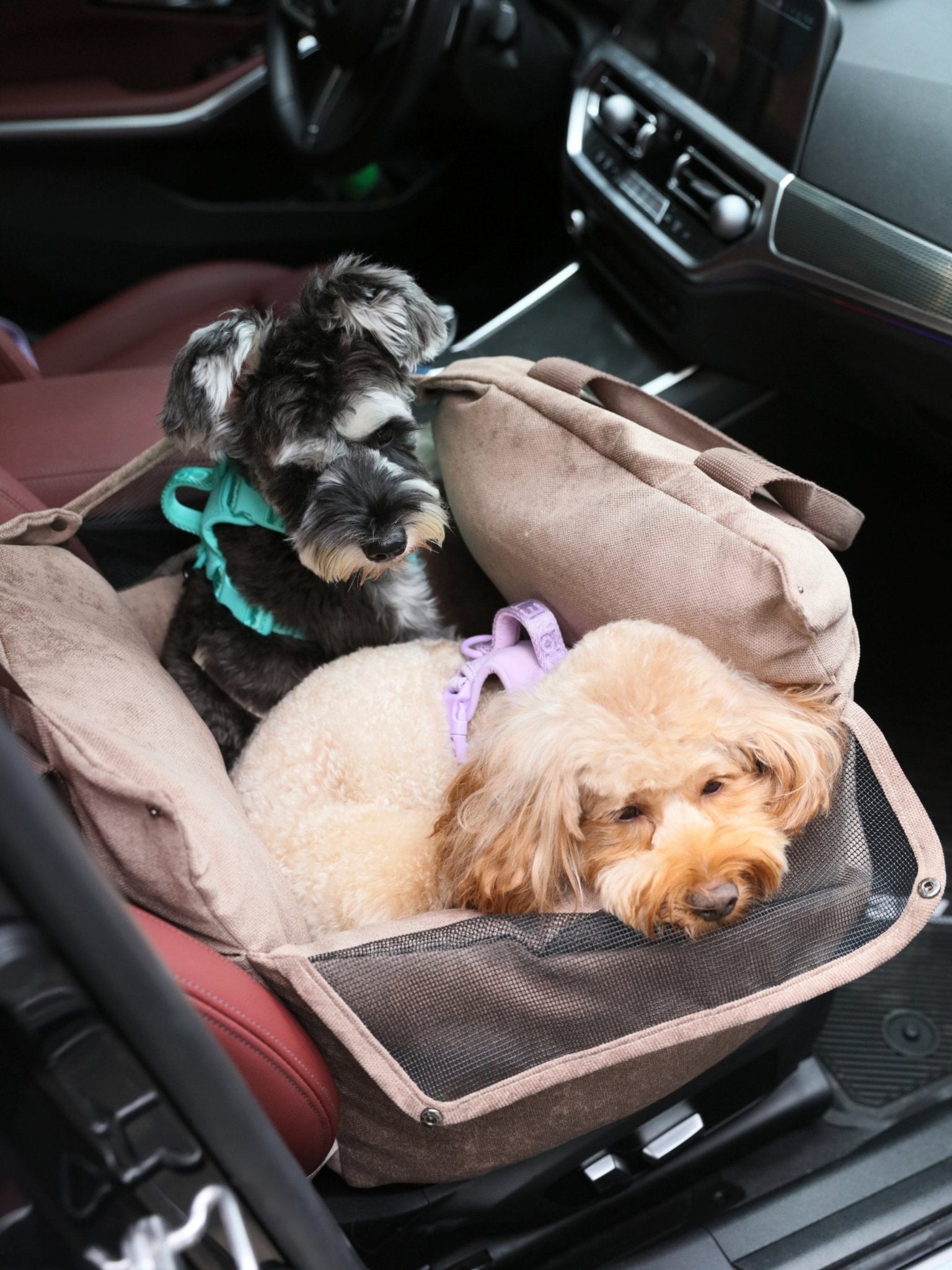 Puff Guard Dog Car Seat in Camel - Premium Safety & Comfort for Travel - A Horizon Dawn