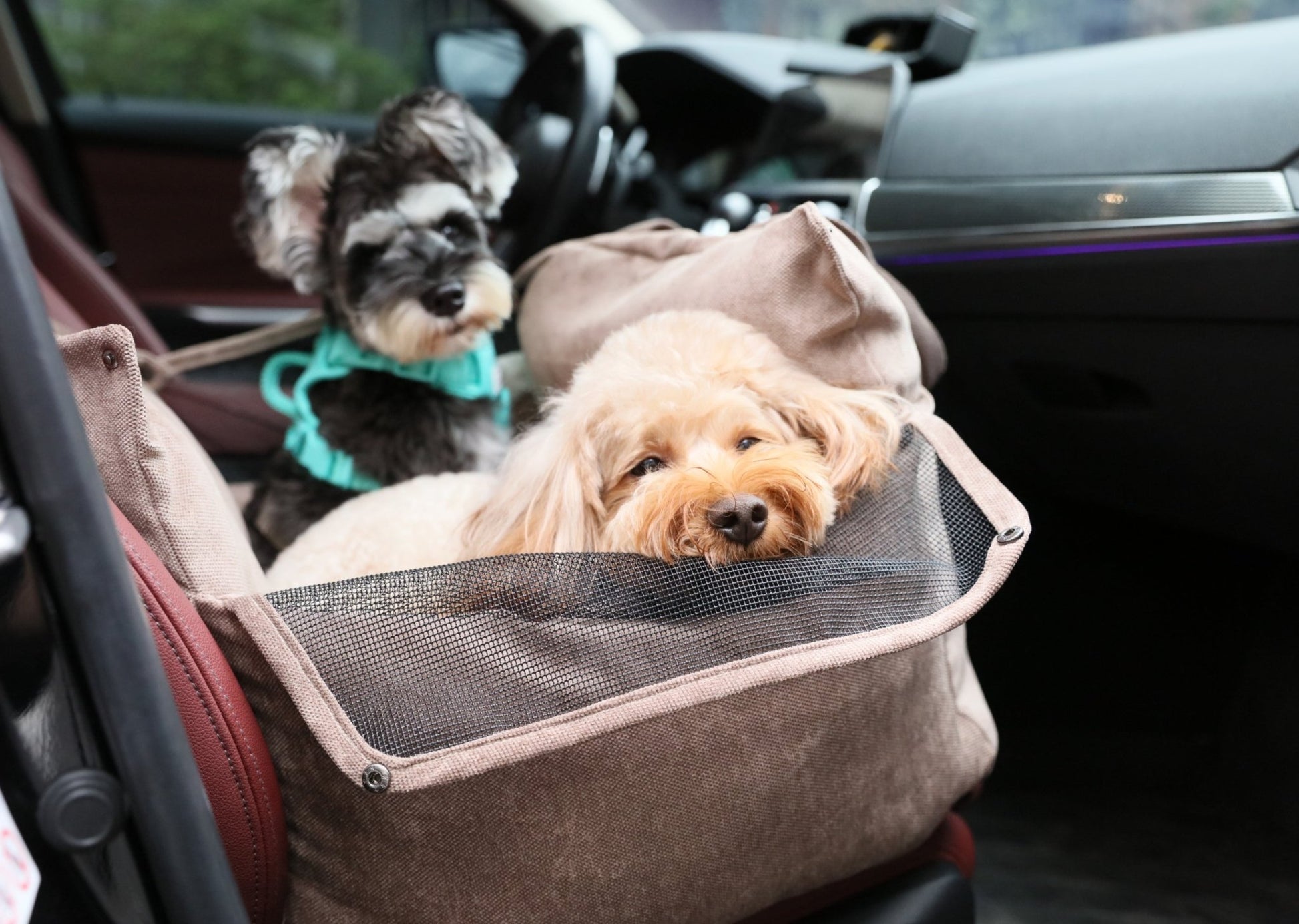 Puff Guard Dog Car Seat in Pink - Premium Safety & Comfort for Travel - A Horizon Dawn