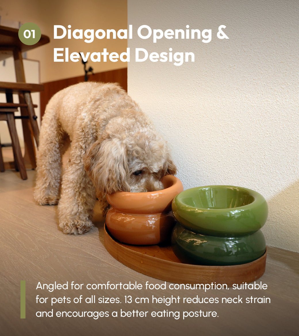 Soufflé Pet Bowl - Avocado Green - A Horizon Dawn
