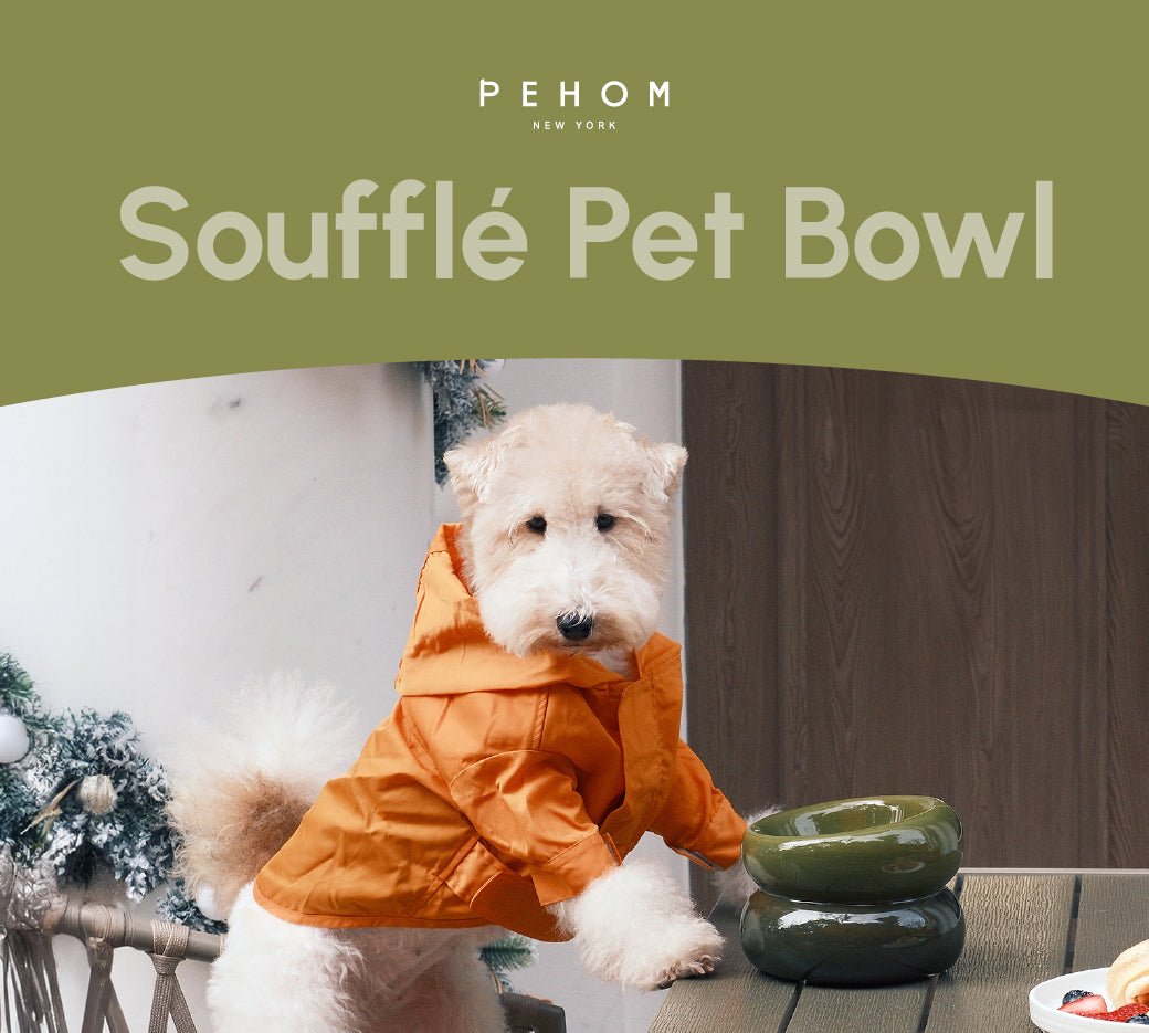 Soufflé Pet Bowl - Avocado Green - A Horizon Dawn
