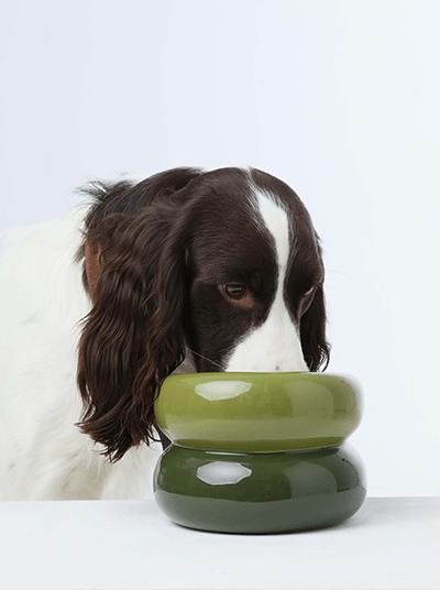 Soufflé Pet Bowl - Avocado Green - A Horizon Dawn