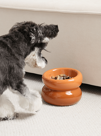 Soufflé Pet Bowl - Avocado Green | Modern Designer Dog Bowl - A Horizon Dawn