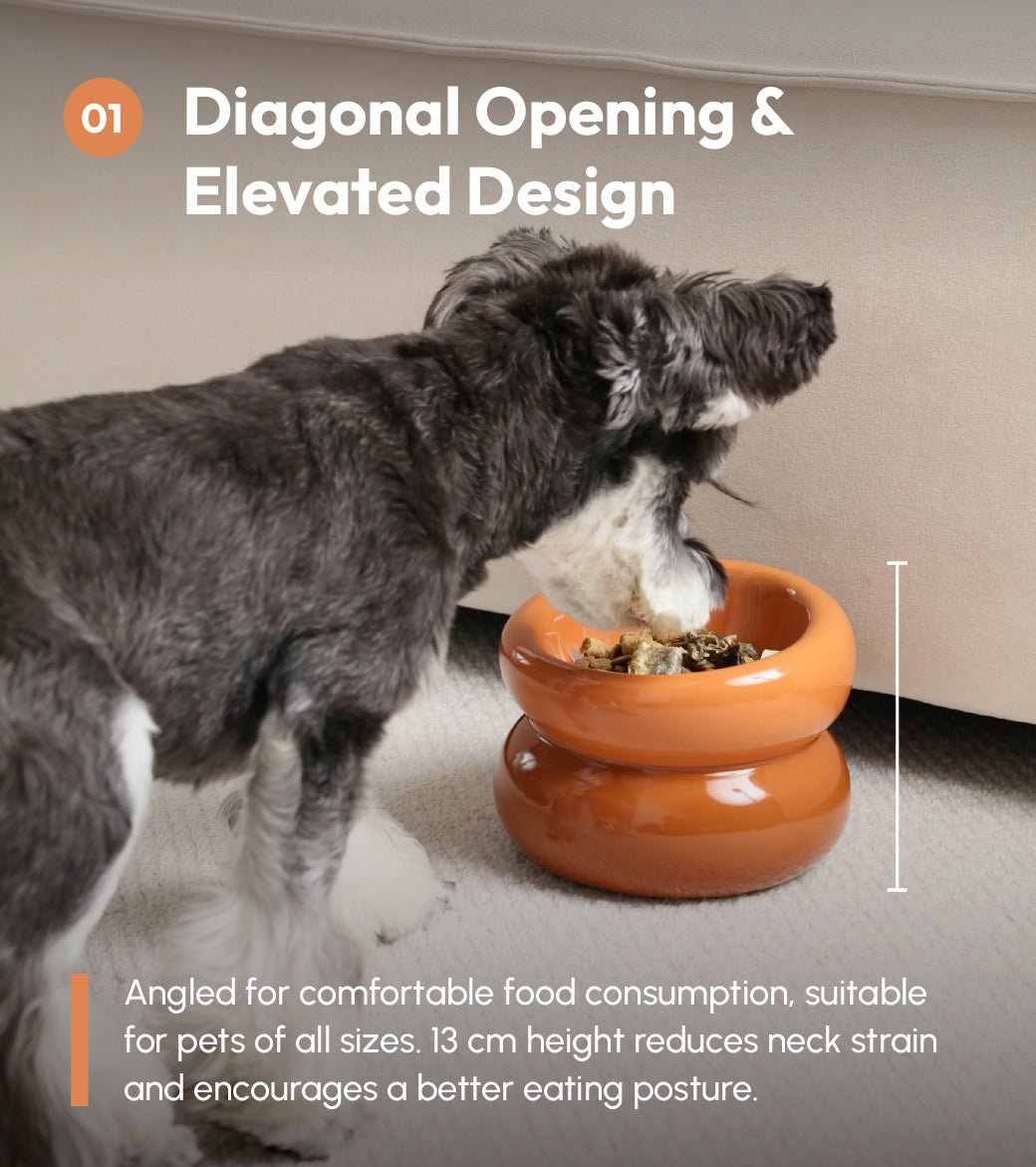 Soufflé Pet Bowl - Avocado Green | Modern Designer Dog Bowl - A Horizon Dawn