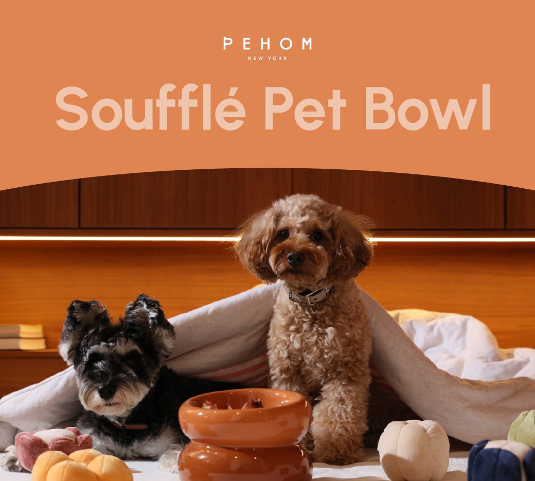 Soufflé Pet Bowl - Avocado Green | Modern Designer Dog Bowl - A Horizon Dawn