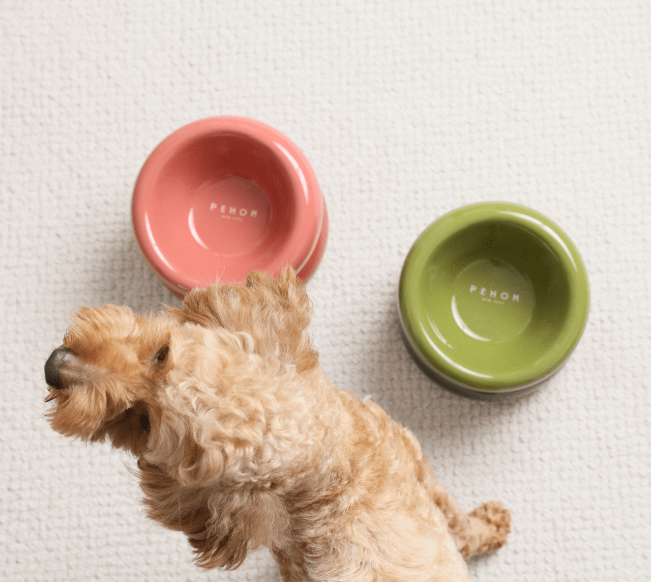 Soufflé Pet Bowl - Rose Pink - A Horizon Dawn
