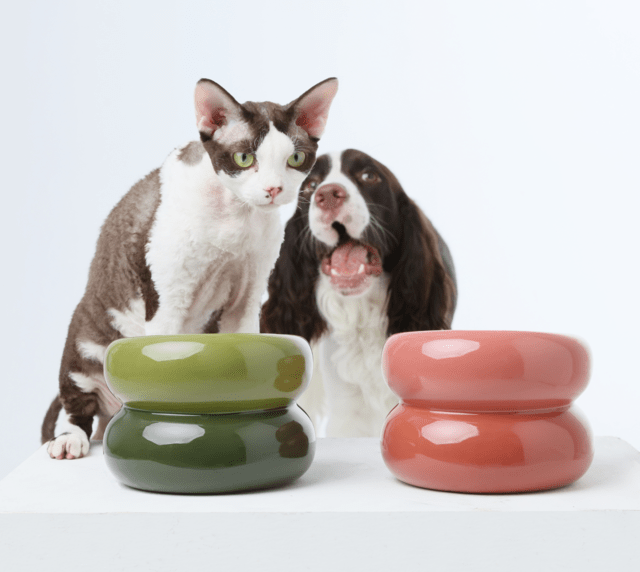 Soufflé Pet Bowl - Rose Pink - A Horizon Dawn